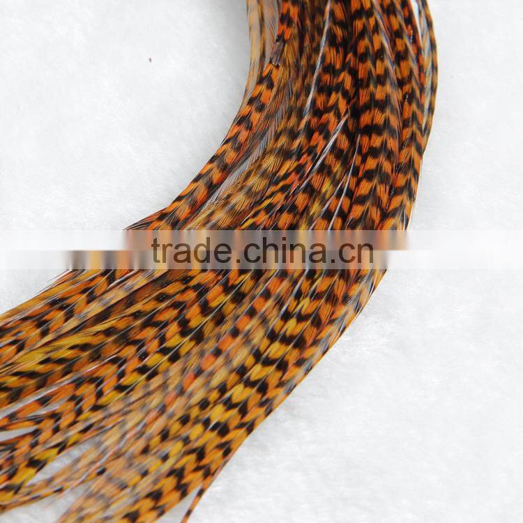 New Arrival Hot Whiting Rooster Feathers Rooster Tail Feathers Feathers For Sale Cheap Long Rooster Feathers Good Quality