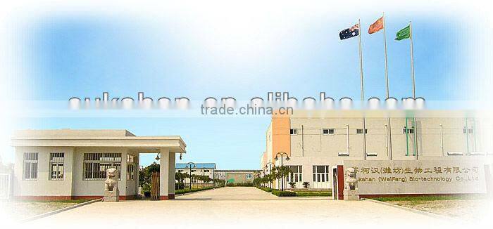 Biological product to solve home pipeline blockage