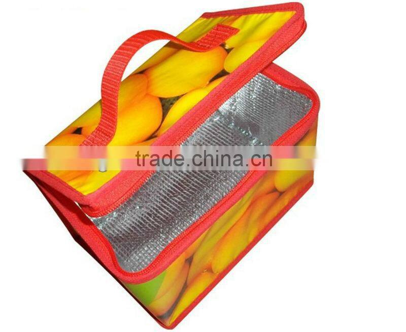 EPE laminated foan cooler bags