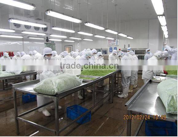 Energy Saving Lamp 4ft With Battery Backup Explosion Proof Led Tube Version Linear Led Fixture In China