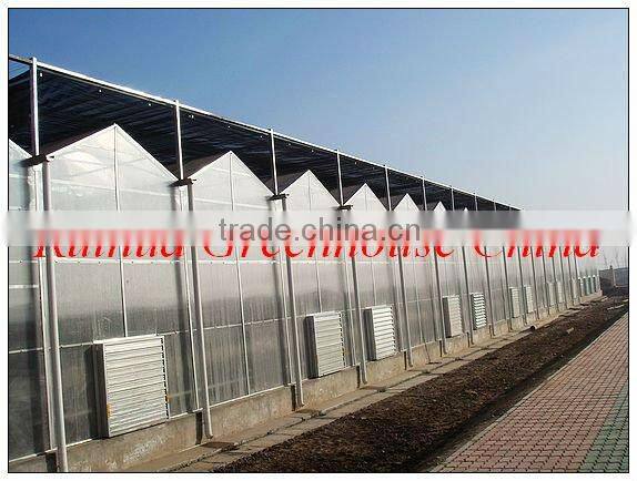 Polycarbonate PC Sheet Multi-span Greenhouse