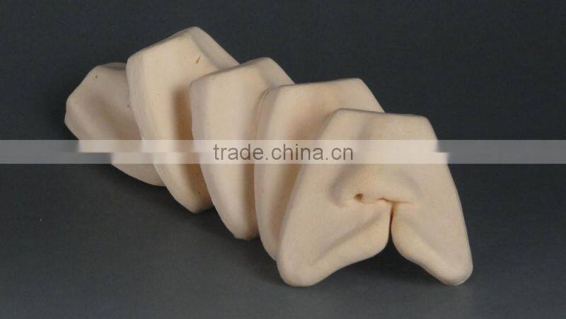 Dental cleft lip suture models DEA-33