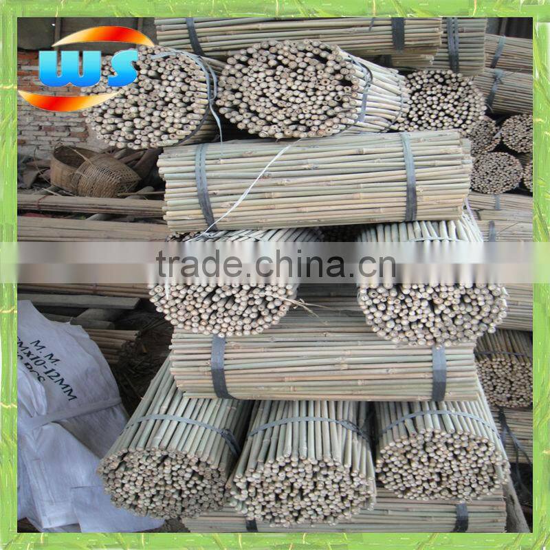 Bambu for plantation 50cm X10-12mm
