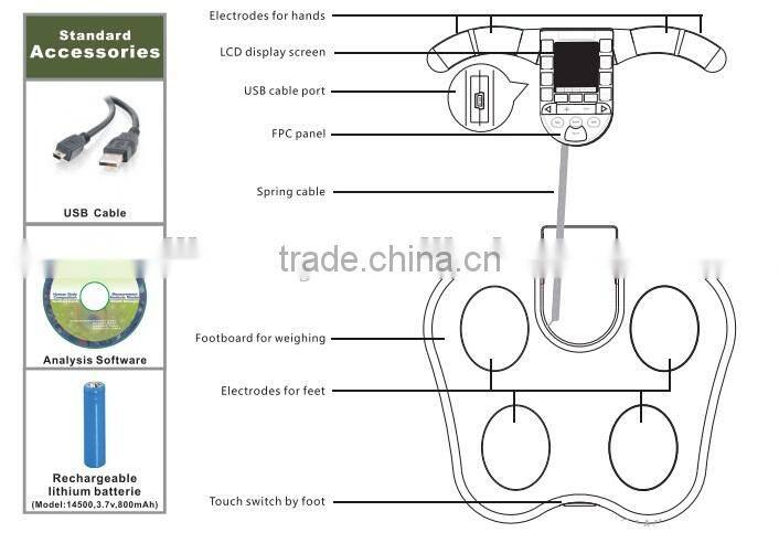 Top quality human-body analyzer body fat testing machine