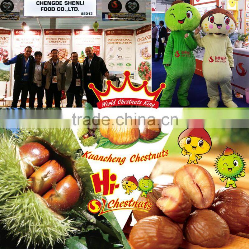 New crop Fresh Chestnut origin from Hebei