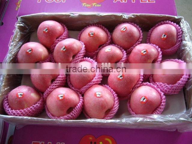 Sell Honey Crisp Fresh Fuji Apple- Blush