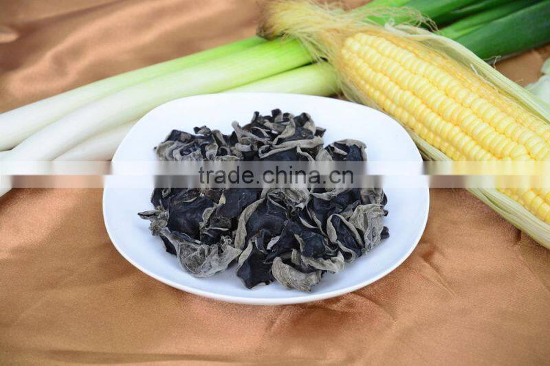 Dried Jew's Ear/ Wood ear mushroom/Cloud ear fungus