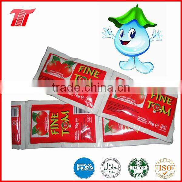 70g Sachet Tomato Paste