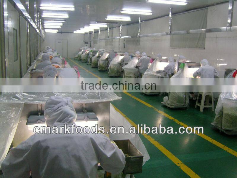 dehydrated onion flakes