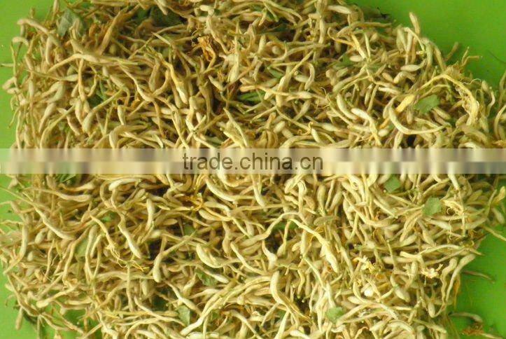 Pure Honeysuckle(medicine)