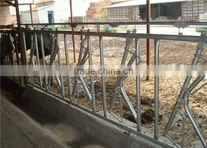 Hot Galvanized Fencing Cow Feed Fence