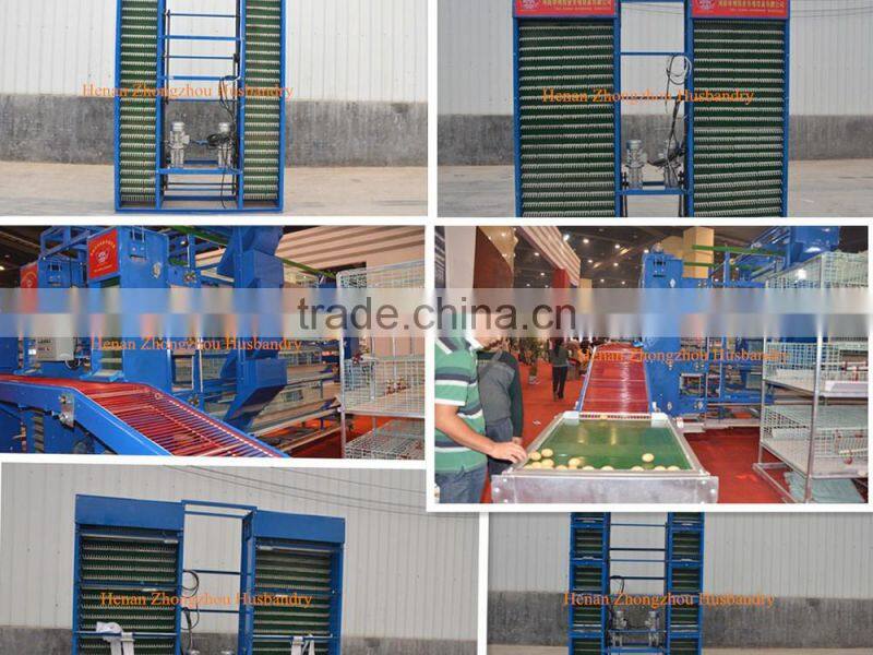 poultry farm equipment/chicken cage/quail cage