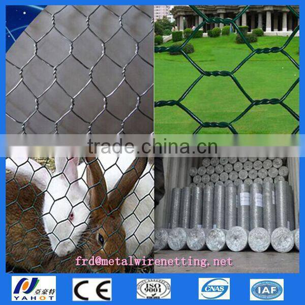 Anping galvanized hexagonal wire mesh/ chicken wire / PVC coated chicken fence