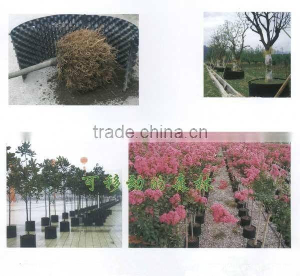 New coming professional retail seedling tray with 84 holes