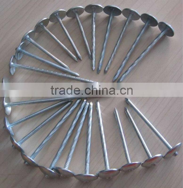 Galvanized Umbrella head Roofing nails from Guangzhou Supplier
