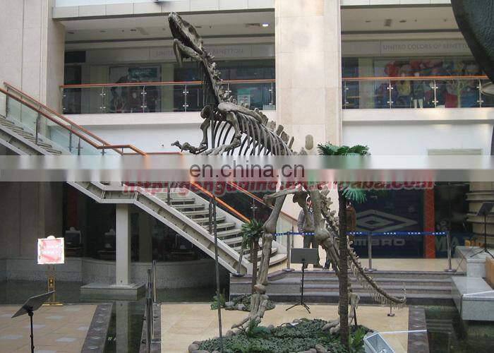 Dinosaur skeleton replicas