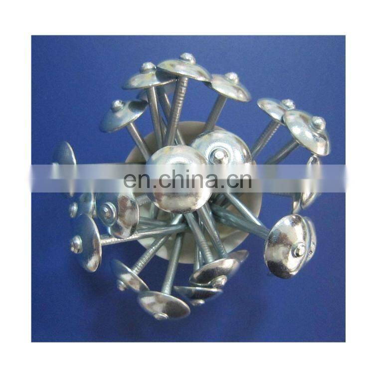 umbrella head galvanized roofing nails