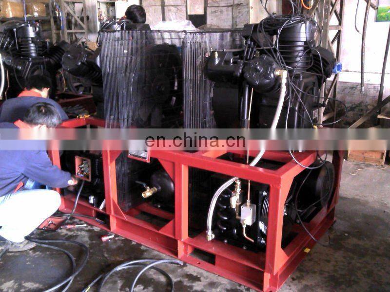 High pressure piston air compressor 30bar natural 12v mini air compressor 220v