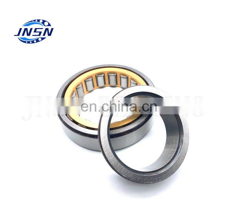 Factory Supplier High Precision Low Noise NJ304 NJ306 NJ307 NJ308 NJ309 Cylindrical Roller Bearing nj305