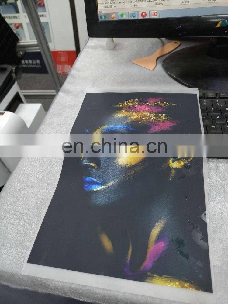 A3 Heat Transfer Printing PET Film Digital Inkjet DTF Printer 30cm