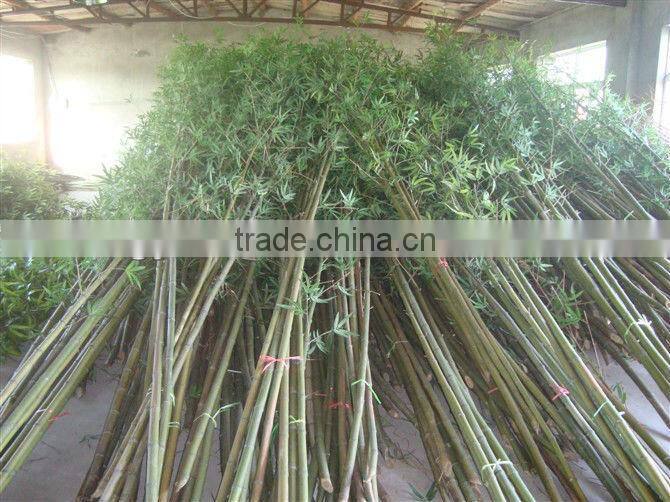 artificial green leaves