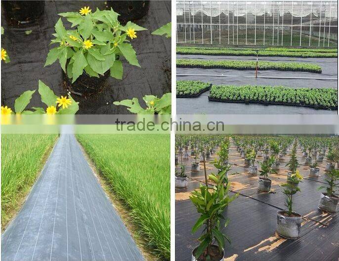 PP Woven Geotextile Factory price
