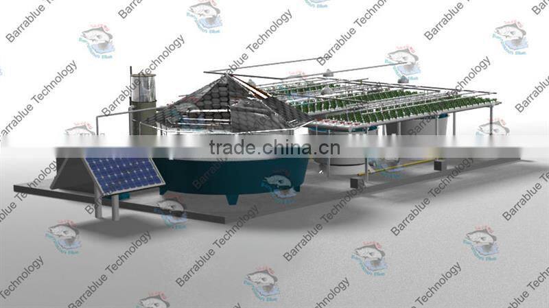 RAS/hydroponics growing system/Fish farm and hydroponic greenhouse system