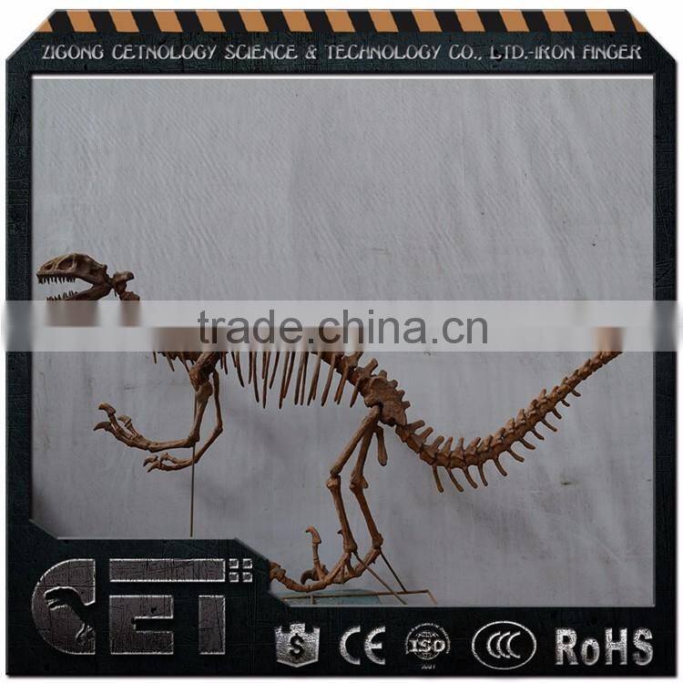 musement equipment dinosaur skeleton excavation kit Holiday Gift