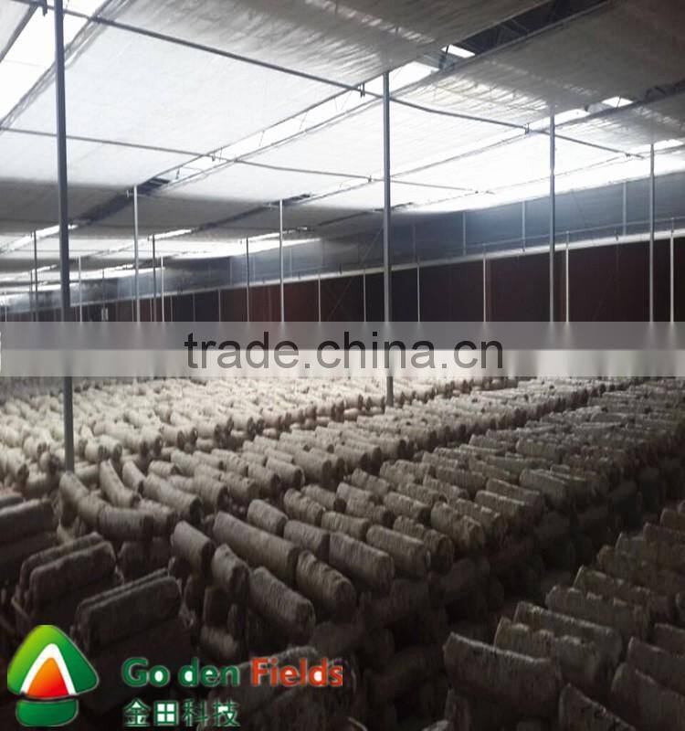 anti-cancer organic wholesale competitive shiitake mushroom export price