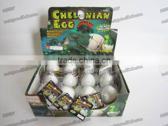 2013 HOT big size magic growing Tortoise chelonian egg children toy wholesale easter