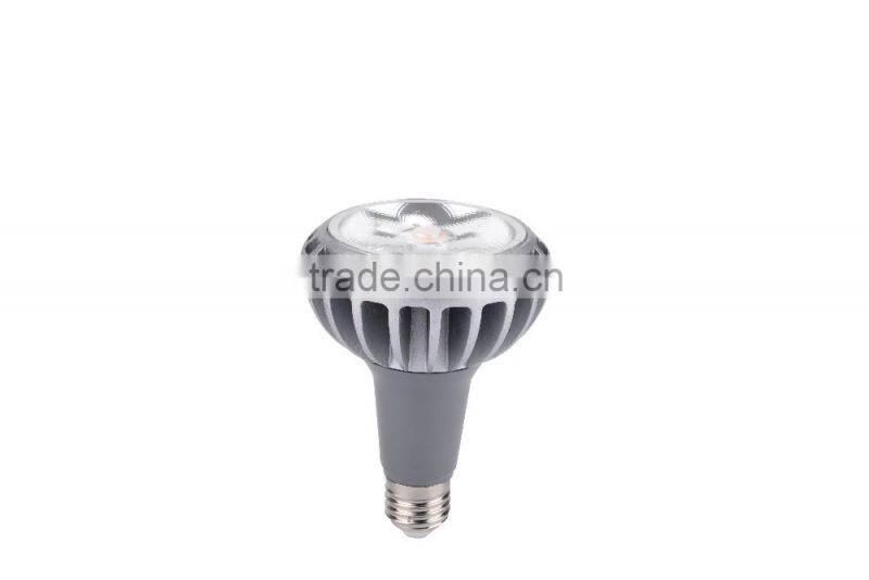 High Quality 28w 2240lm Ra80 Project Led Par30 Light