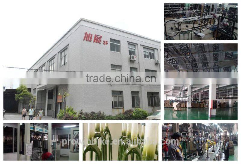 20"Front Suspension Alloy moutain bike (PW1-M20100)