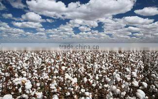 Comfortable Duck Down Feather Pillow