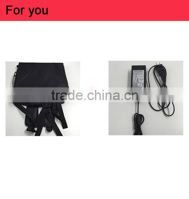 Waterproof Lithium 12V 40AH 60ah Li-ion Battery Recharge Storage Lipo Li ion Battery Pack for Auto Car E-bike DeepCycle
