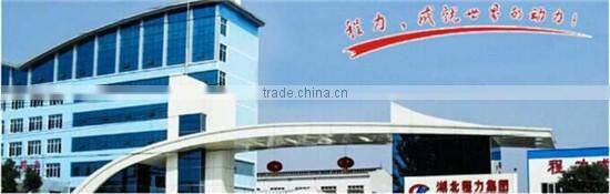 ISO lpg container 40ft lpg transport container