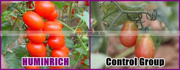 Huminrich High Active Potassium Humic Acid Looking For Agent In Egypt