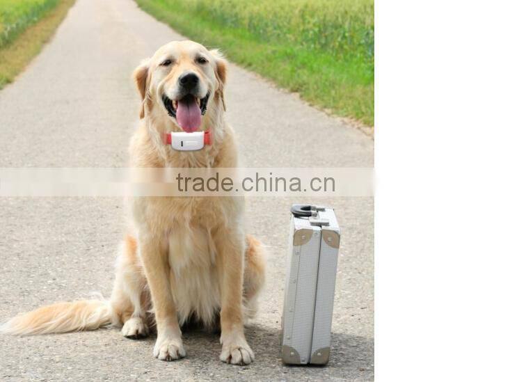 2016 factory made Expandable geo fence 2016 newest underground gps locators electric pet collar