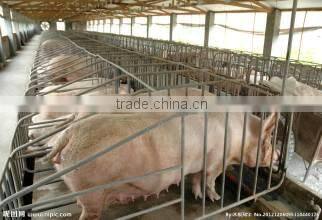 pipe for Sow cage/sow farrowing pens fatten cage for sale