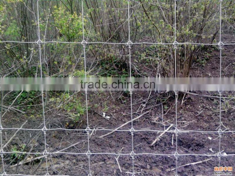 4 feet high sheep fence /galvanized cattle fence
