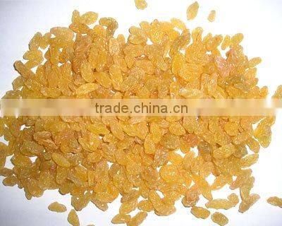 yummy food--golden raisin,green raisins,red raisins