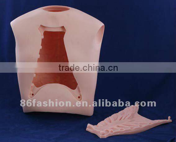 anatomical models,train model,skeleton model,manikin