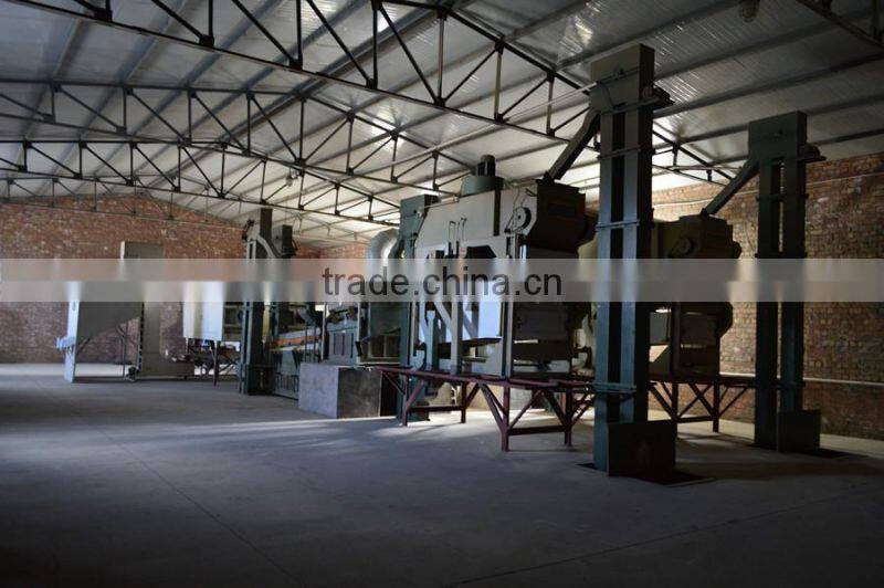 2014 black sunflower seeds 5009