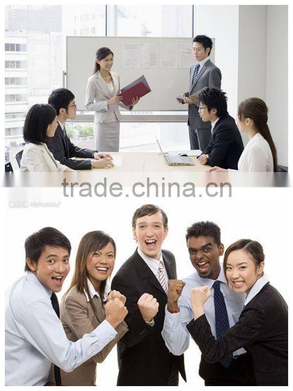 adjustable pillow block bearing with bearing housing high quality and low price