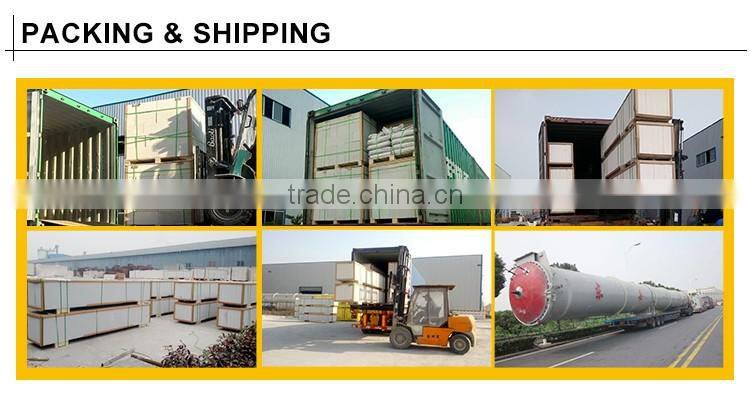 China new building material AAC wall panel