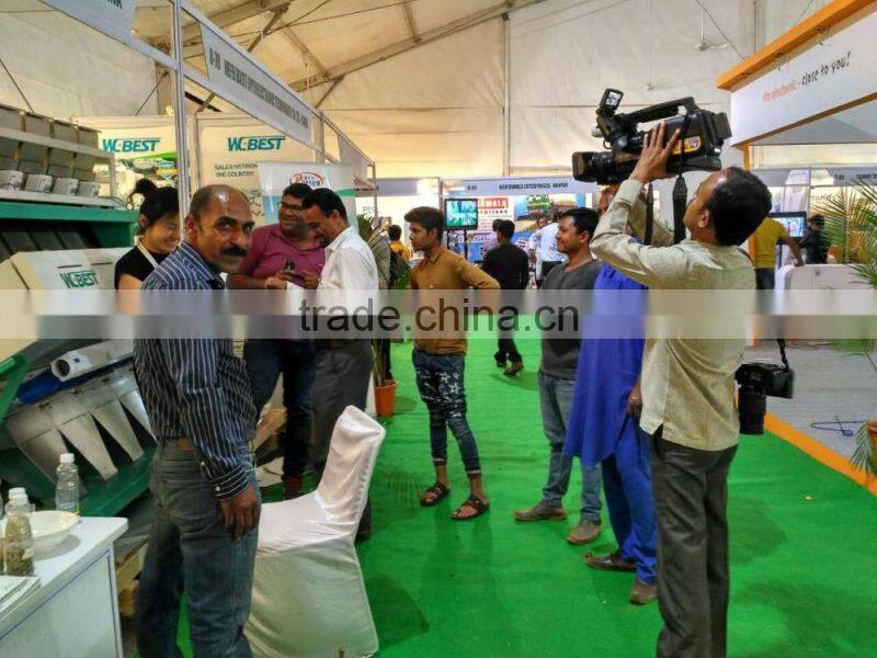 Walnut Kernel Color Sorting Machine/Apricot Kernel Color Sorter in China