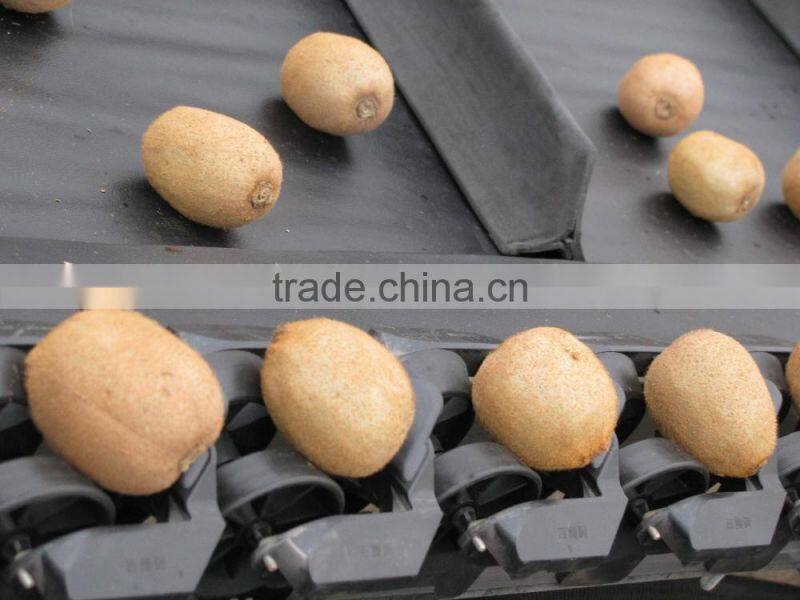 Fruit Vegetbale Apple Orange Grading Machine Sorter Grader Waxing Production Line