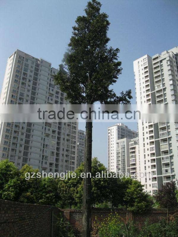 wholesale coconuts,artificial bonsai tree,fake coconut tree