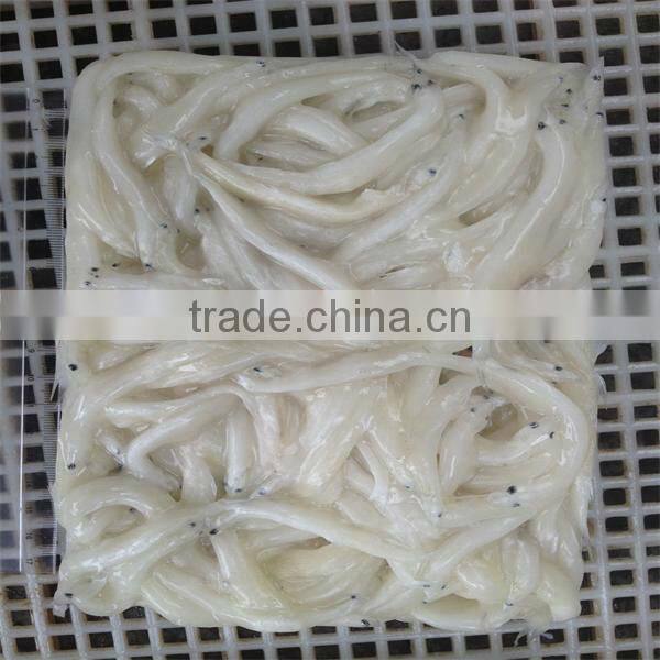 silver fish and well export of frozen fish