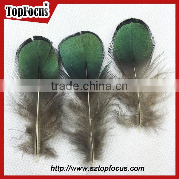 new hot carnival costume trimming fringe green pheasant feathers prices