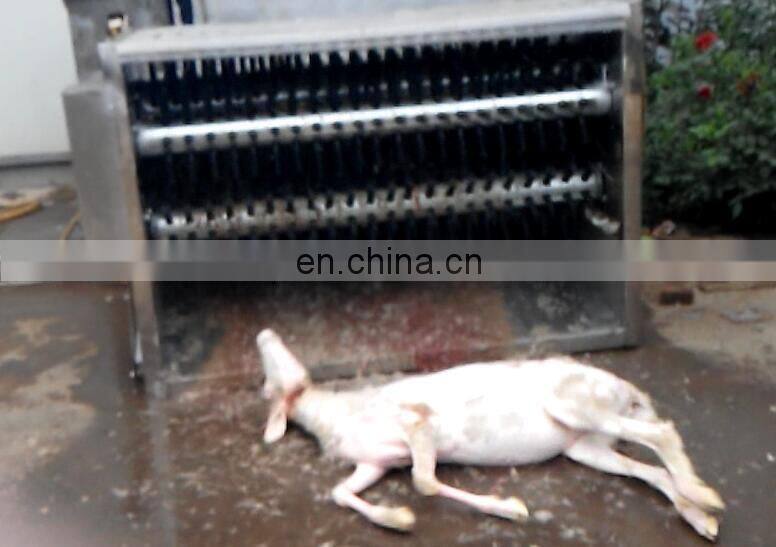 Sheep debristling machine/pig goat de hairing machine/poultry slaughter house